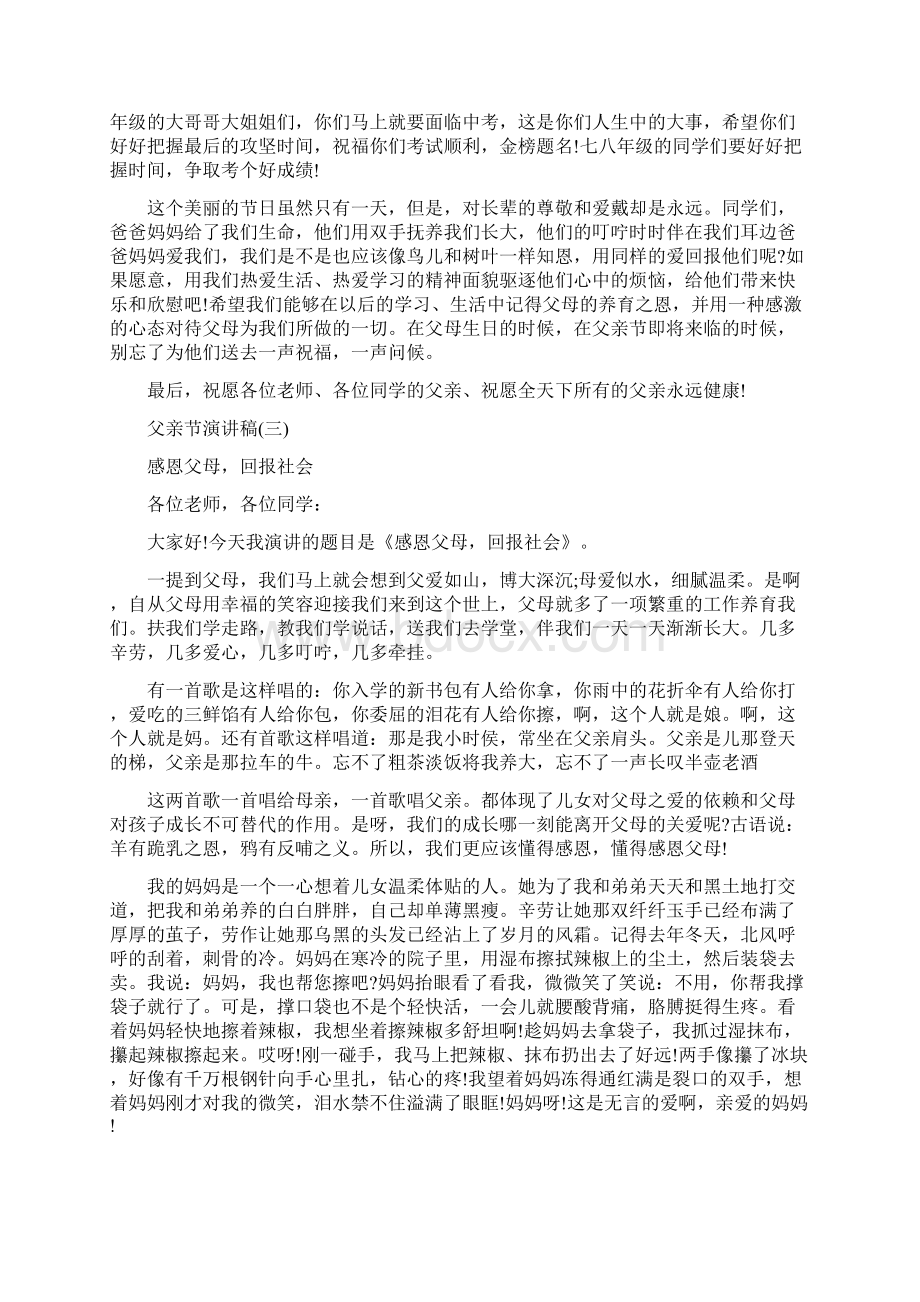 以父亲节为主题的演讲稿5篇.docx_第3页