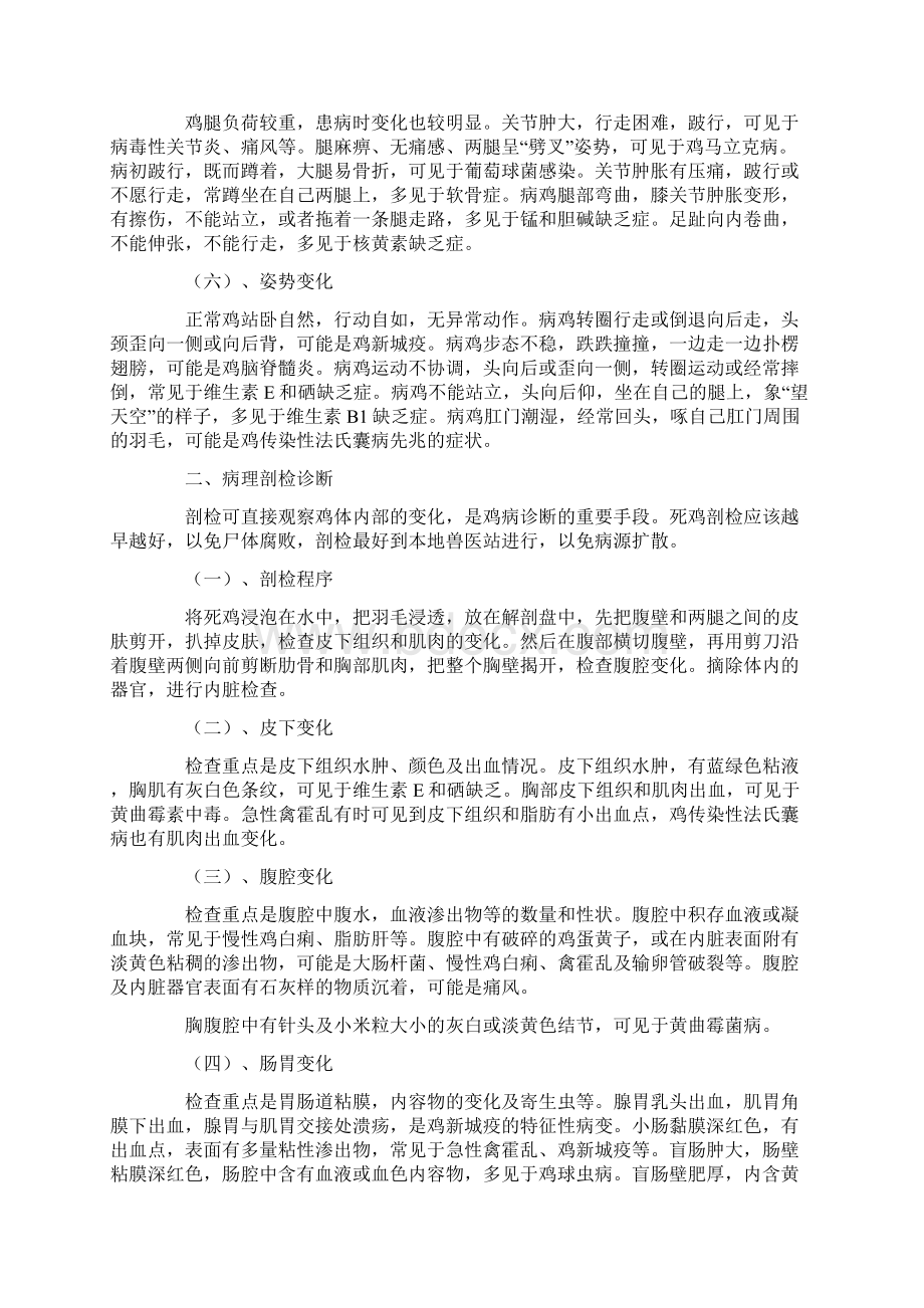 鸡相关知识三篇.docx_第2页