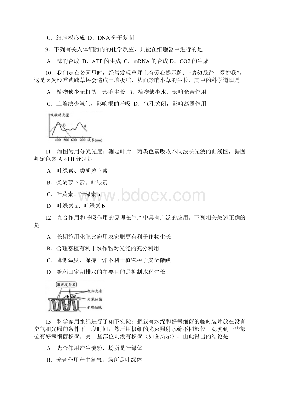 四川省成都市届高三摸底零诊考试生物试题 Word版含答案.docx_第3页