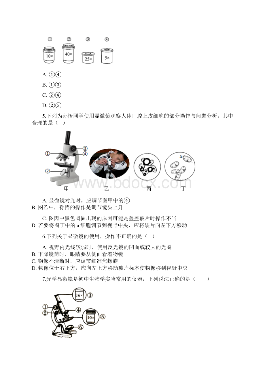 人教版生物七年级上册第二单元2.docx_第2页