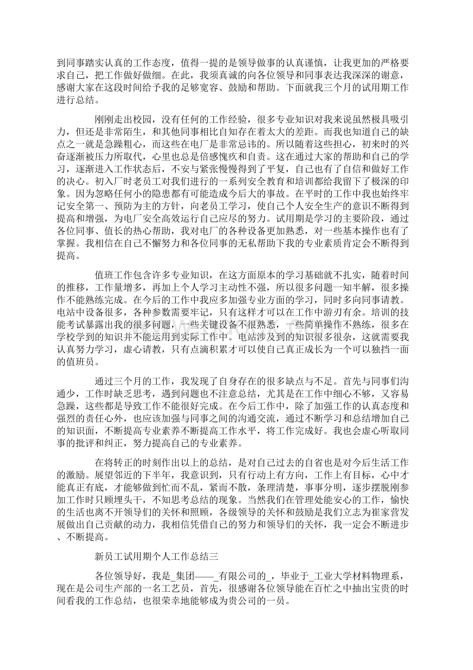 新员工试用期个人工作总结最新五篇范文.docx_第2页