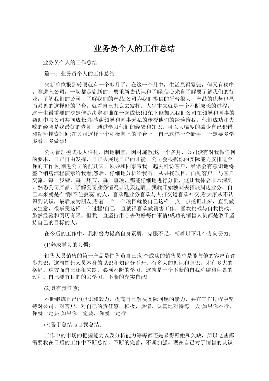 业务员个人的工作总结.docx