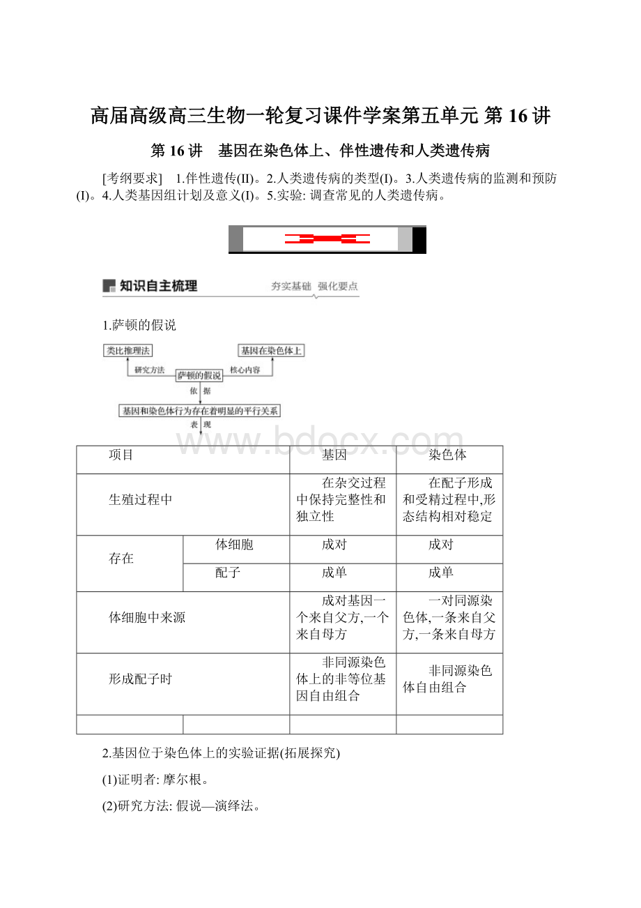 高届高级高三生物一轮复习课件学案第五单元 第16讲.docx