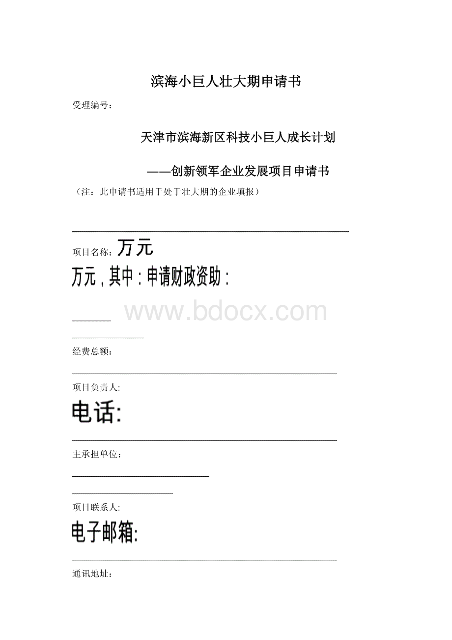 滨海小巨人壮大期申请书.docx