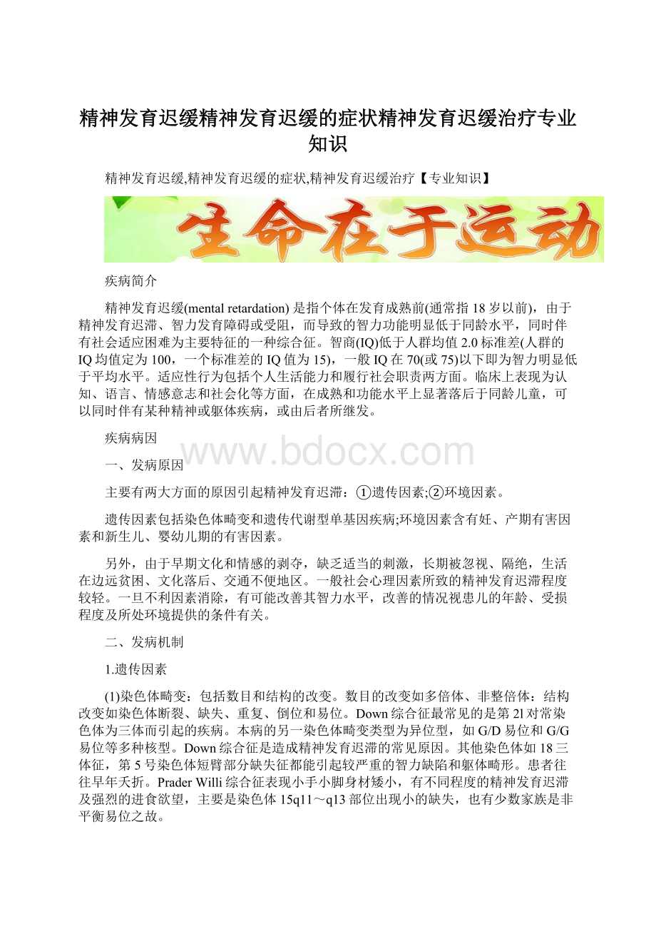 精神发育迟缓精神发育迟缓的症状精神发育迟缓治疗专业知识.docx