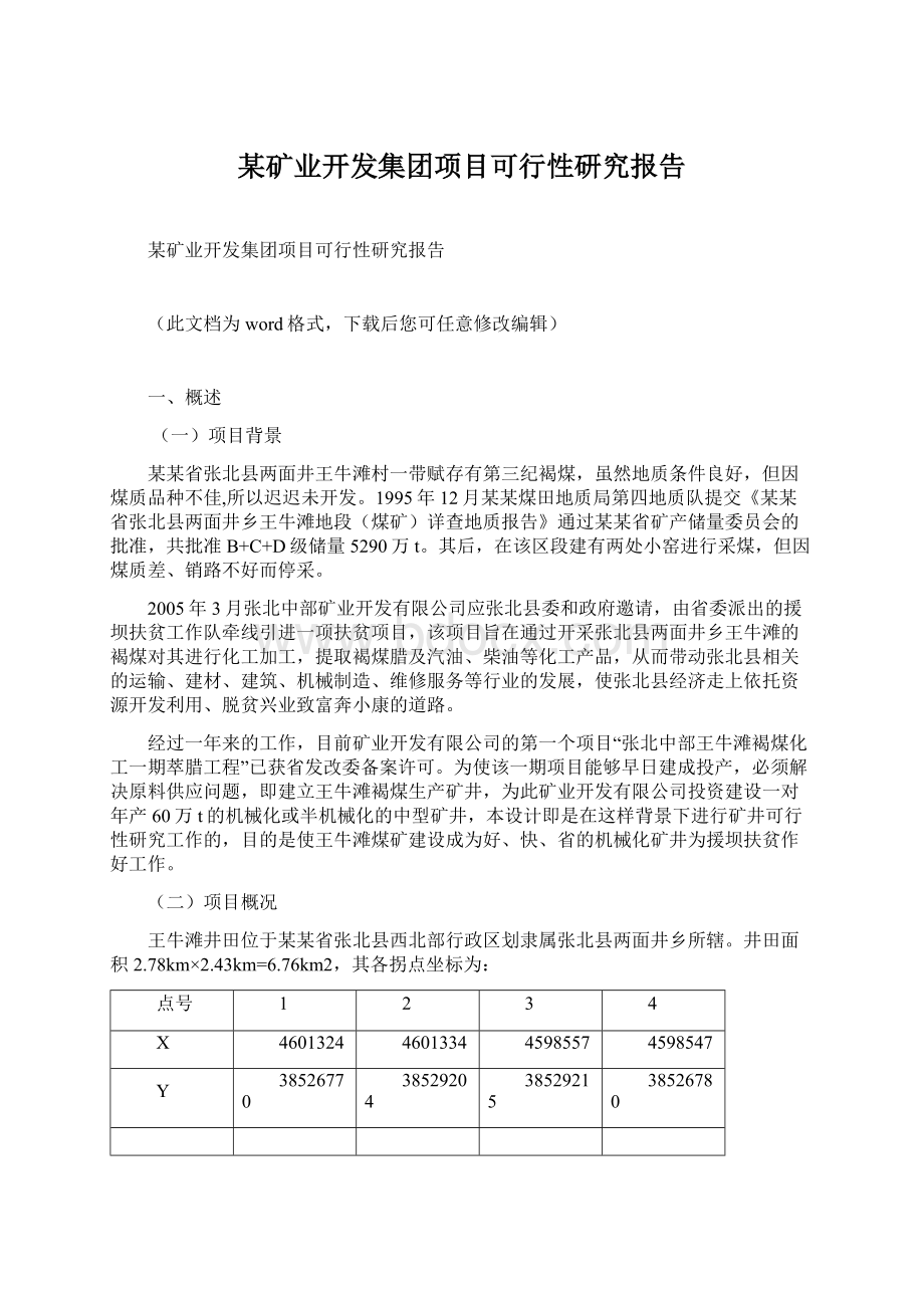 某矿业开发集团项目可行性研究报告.docx