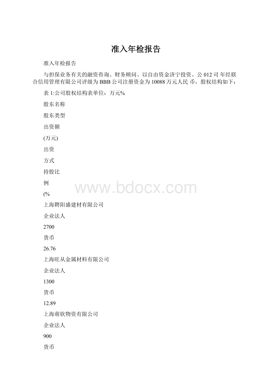 准入年检报告.docx_第1页