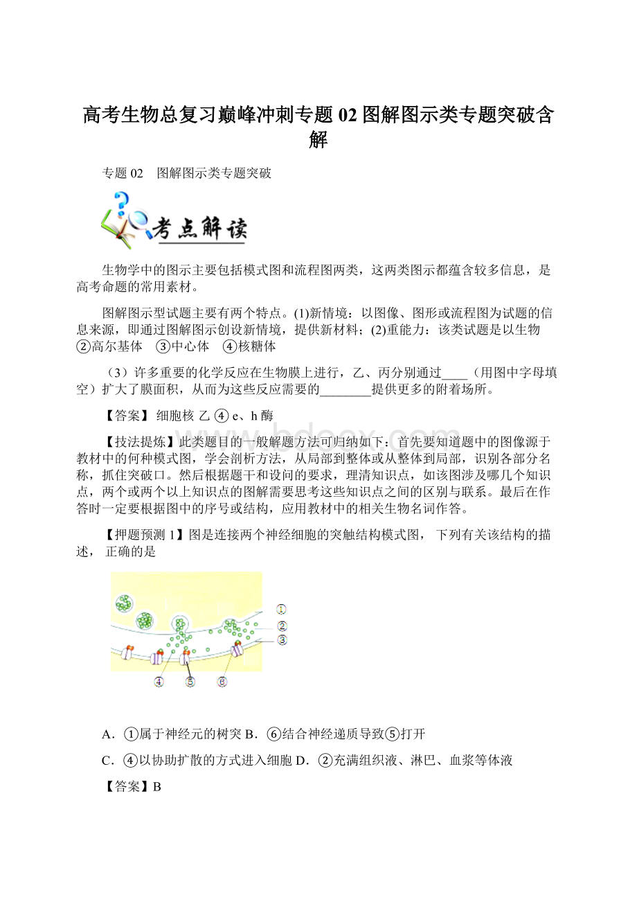 高考生物总复习巅峰冲刺专题02图解图示类专题突破含解.docx