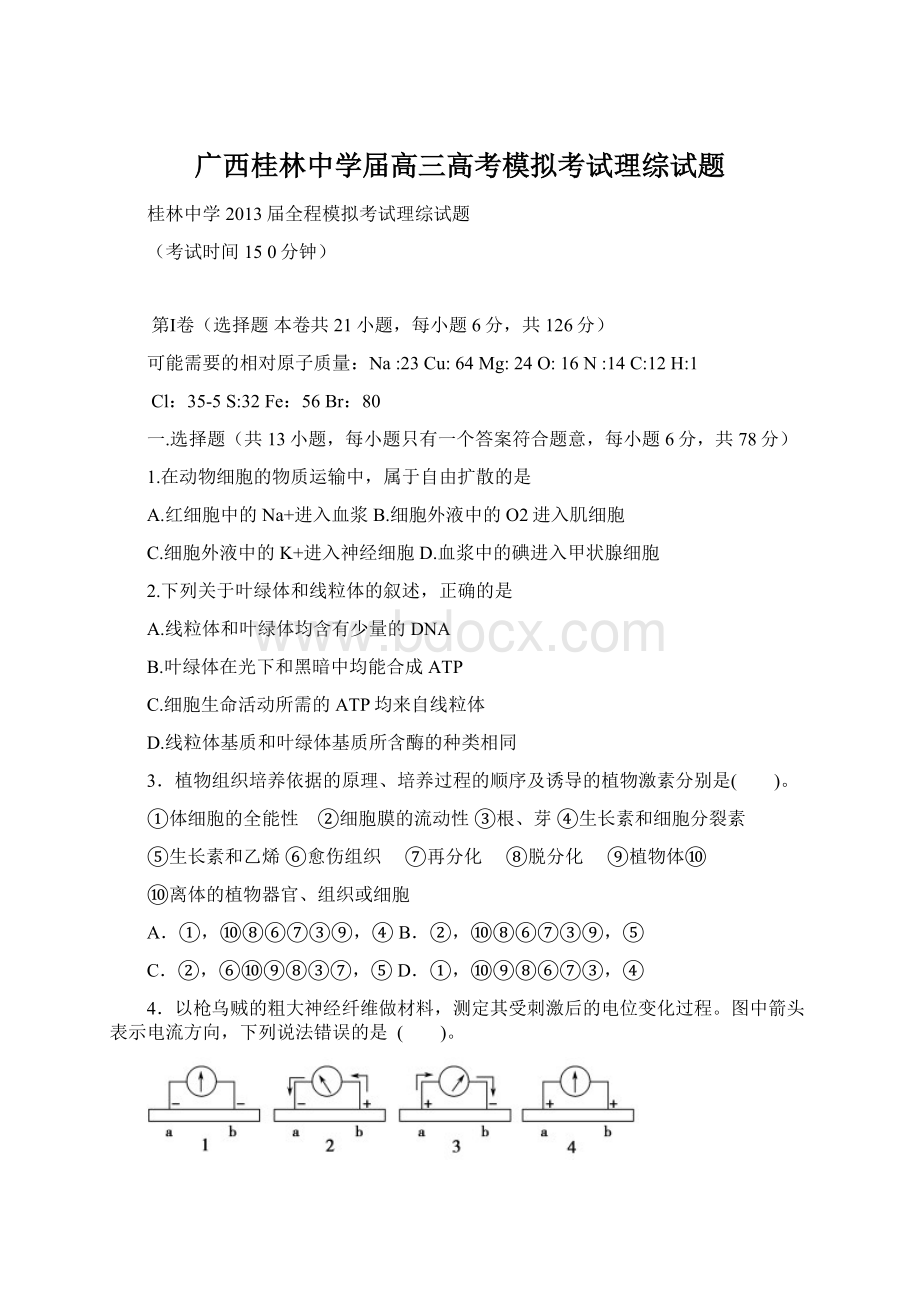 广西桂林中学届高三高考模拟考试理综试题.docx_第1页