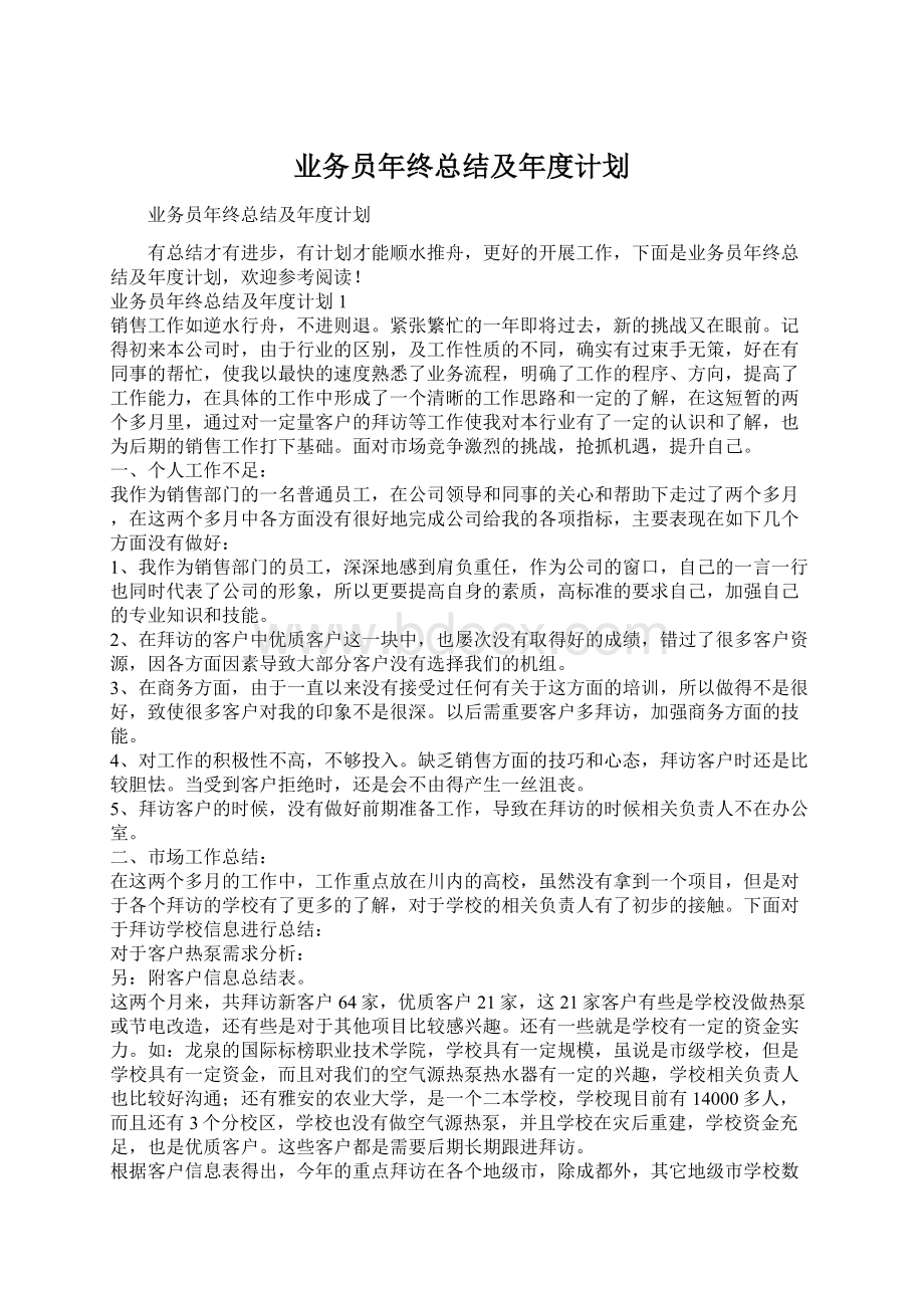 业务员年终总结及年度计划.docx_第1页