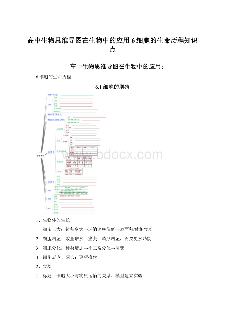 高中生物思维导图在生物中的应用6细胞的生命历程知识点.docx