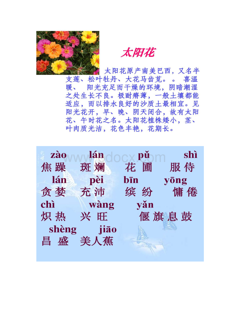 种一片太阳花北师大版下册PPT课件正确的精.docx_第2页