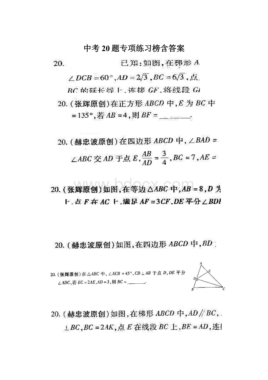 中考20题专项练习榜含答案.docx