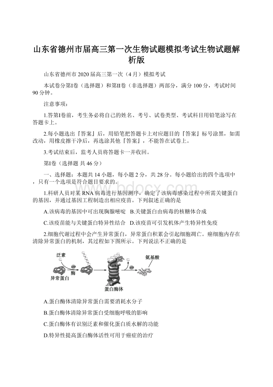 山东省德州市届高三第一次生物试题模拟考试生物试题解析版.docx_第1页