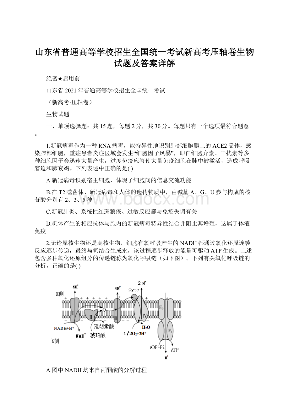 山东省普通高等学校招生全国统一考试新高考压轴卷生物试题及答案详解.docx