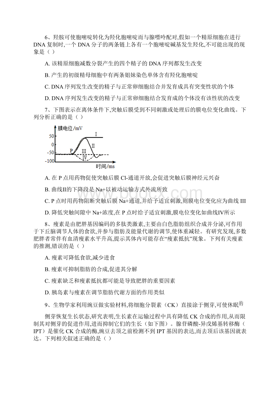 山东省普通高等学校招生全国统一考试新高考压轴卷生物试题及答案详解.docx_第3页