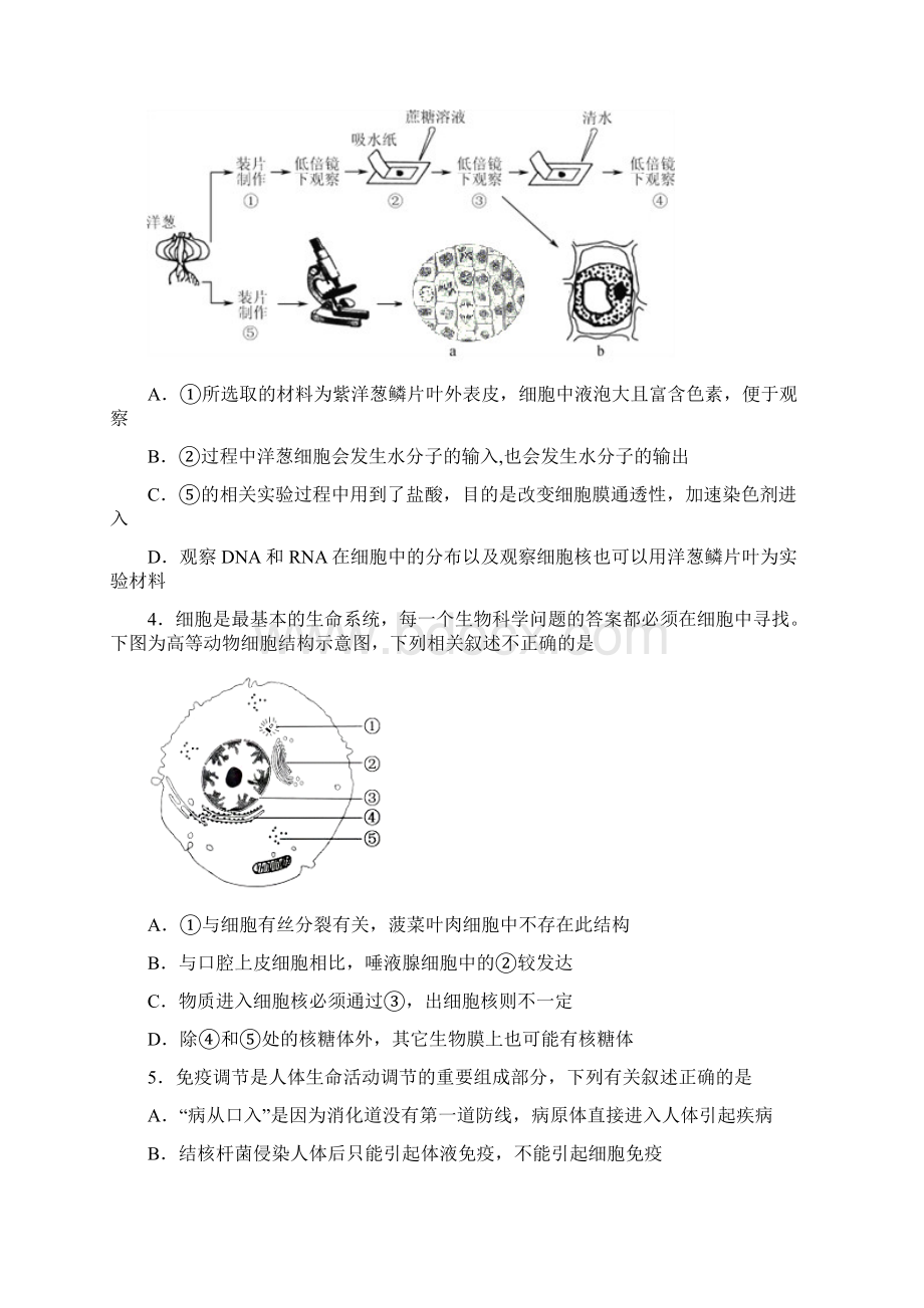 哈三中高三学年第一次模拟考试 理科综合 含答案.docx_第2页