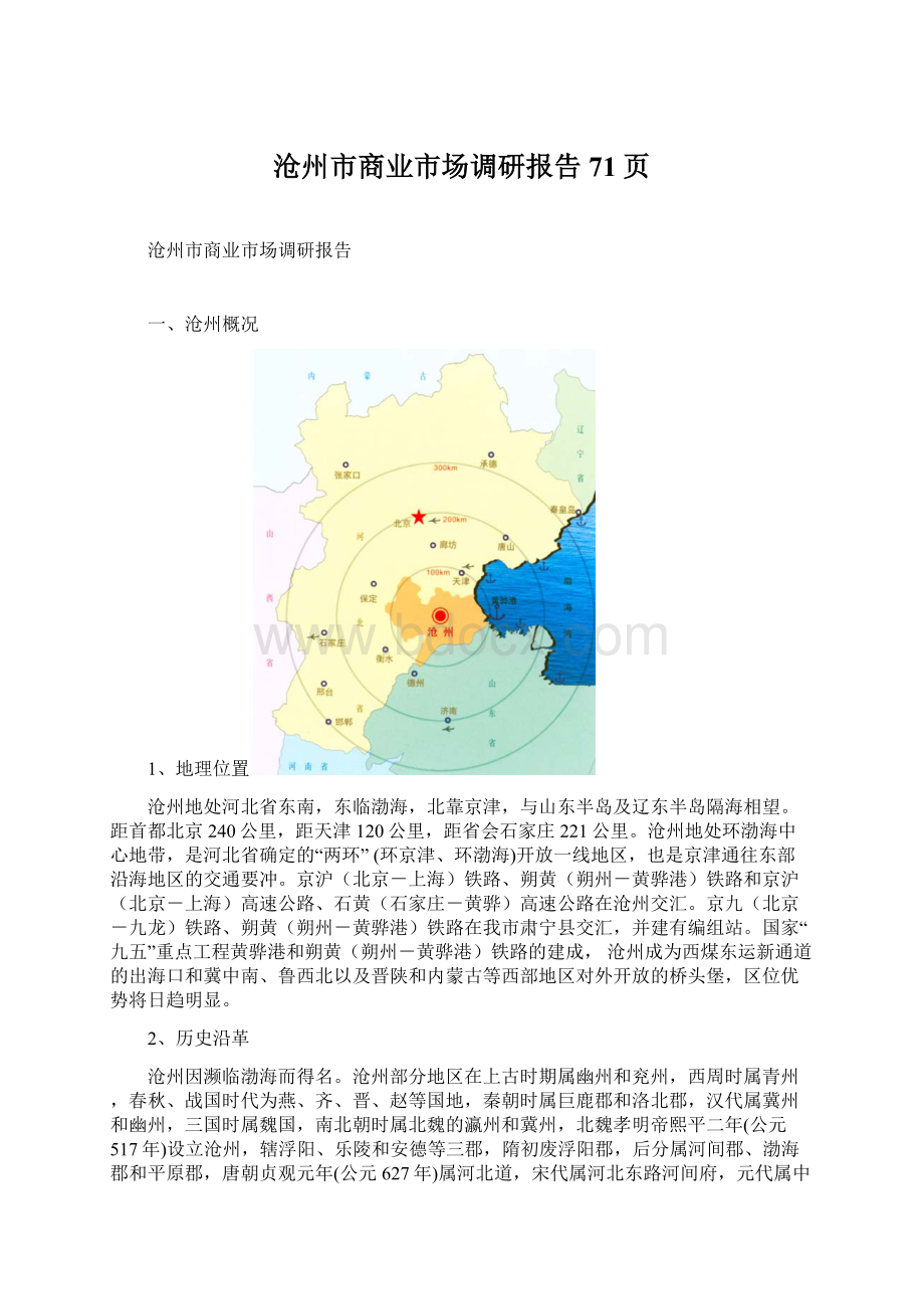 沧州市商业市场调研报告71页.docx