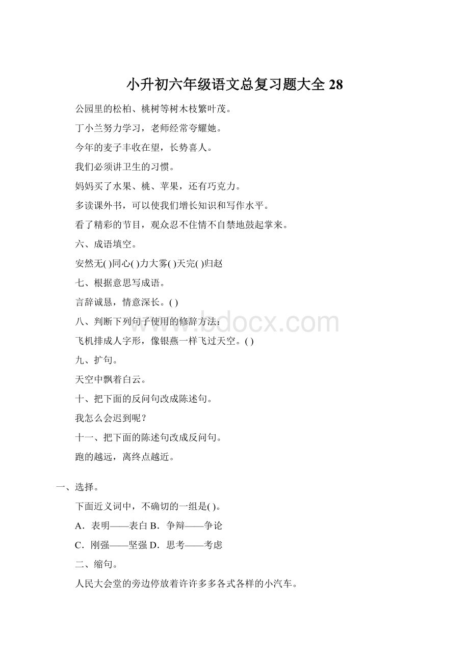 小升初六年级语文总复习题大全28.docx