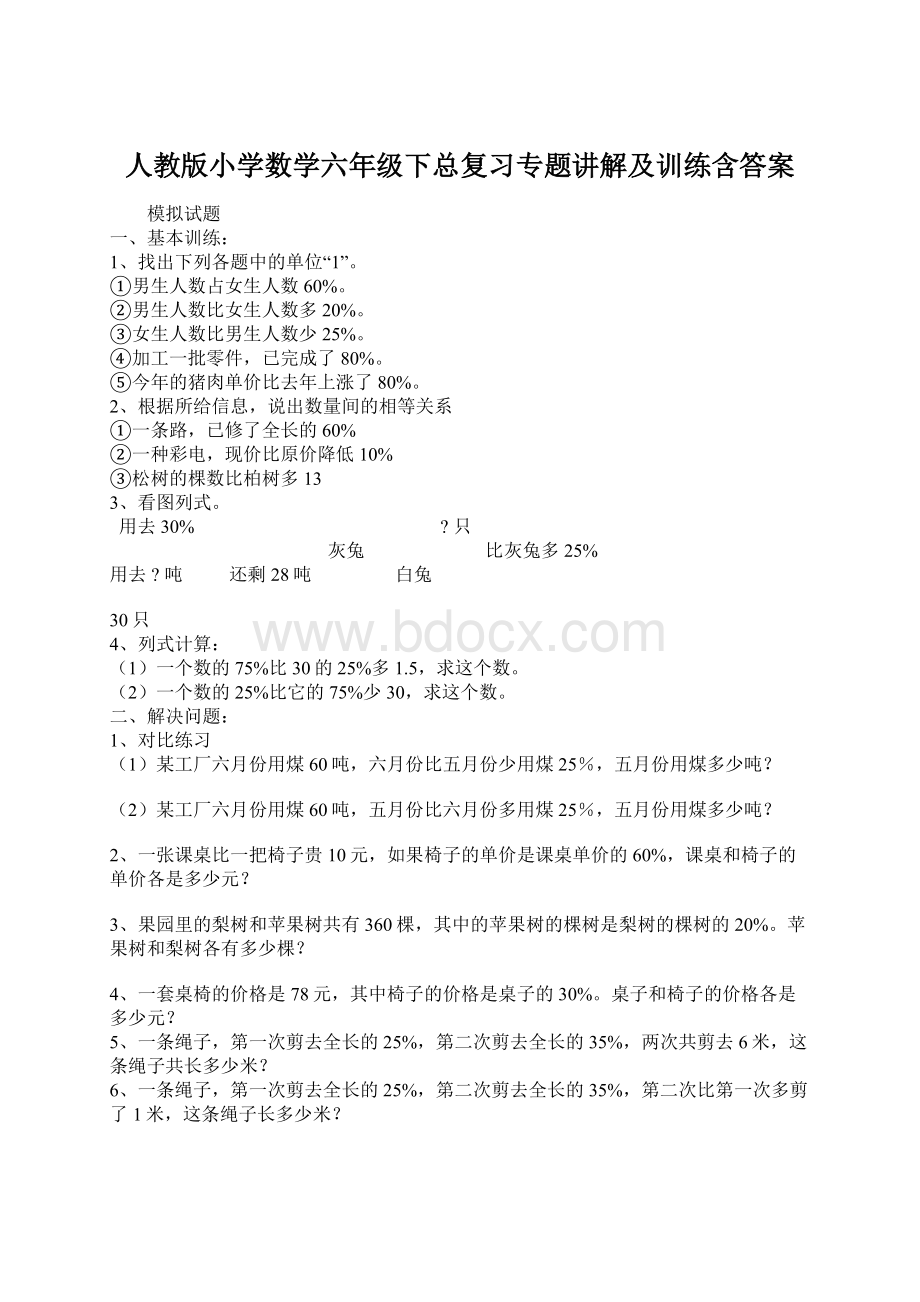 人教版小学数学六年级下总复习专题讲解及训练含答案.docx