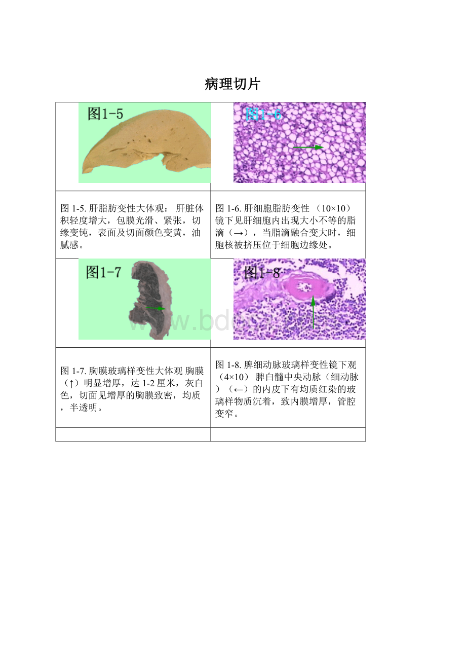 病理切片.docx