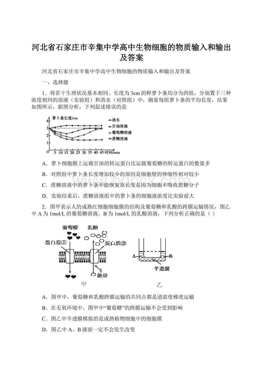 河北省石家庄市辛集中学高中生物细胞的物质输入和输出及答案.docx