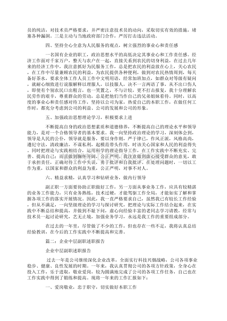 企业副职述职报告.docx_第2页