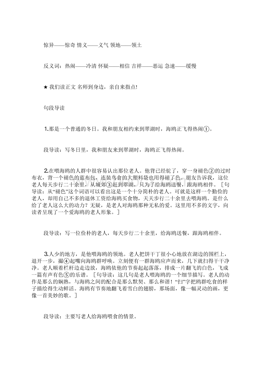 《老人与海鸥》课文解析.docx_第2页