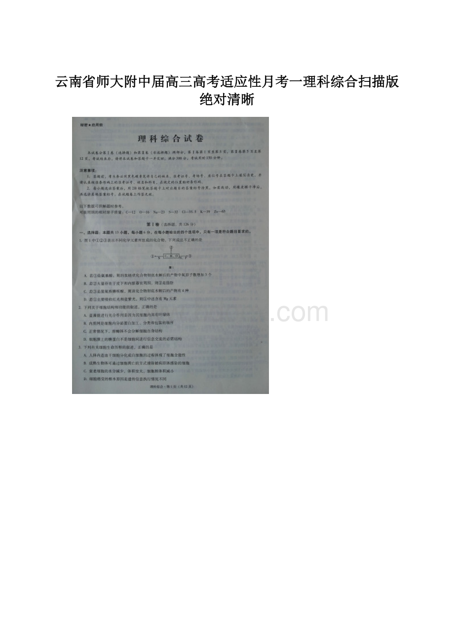 云南省师大附中届高三高考适应性月考一理科综合扫描版绝对清晰.docx_第1页