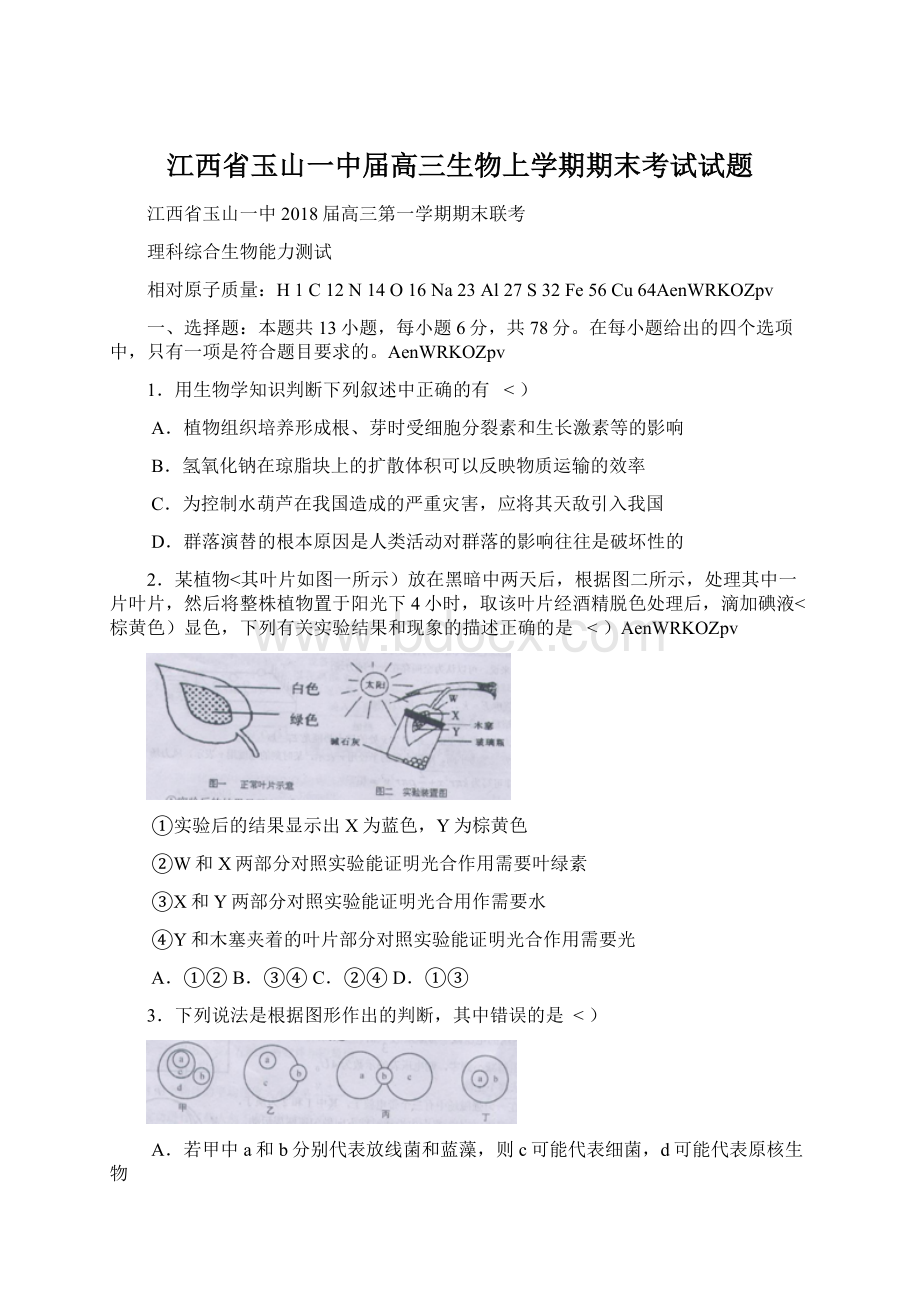 江西省玉山一中届高三生物上学期期末考试试题.docx