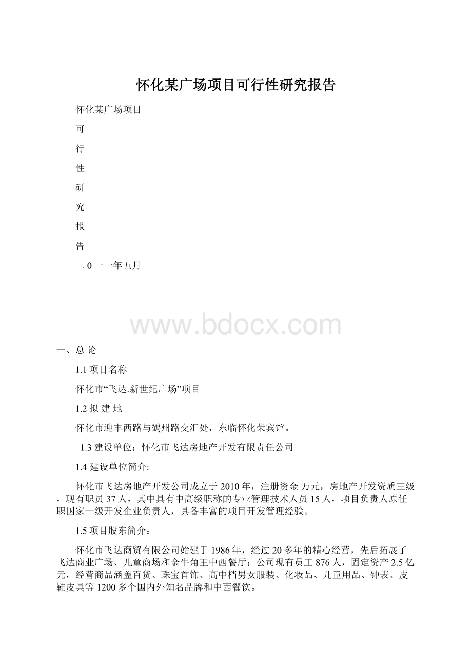 怀化某广场项目可行性研究报告.docx