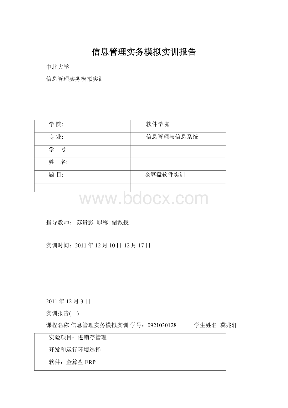 信息管理实务模拟实训报告.docx