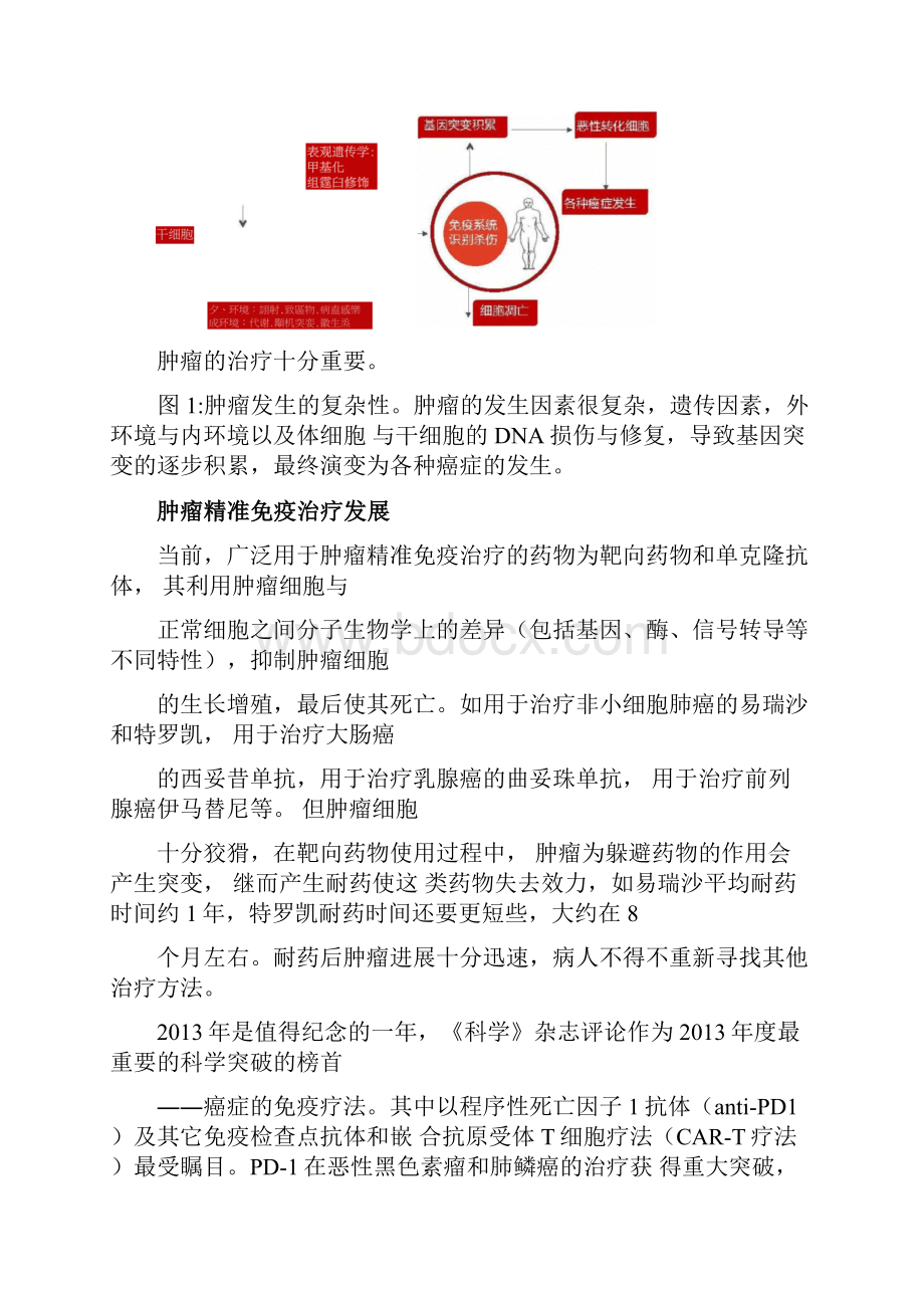 CART技术与肿瘤精准免疫治疗.docx_第2页