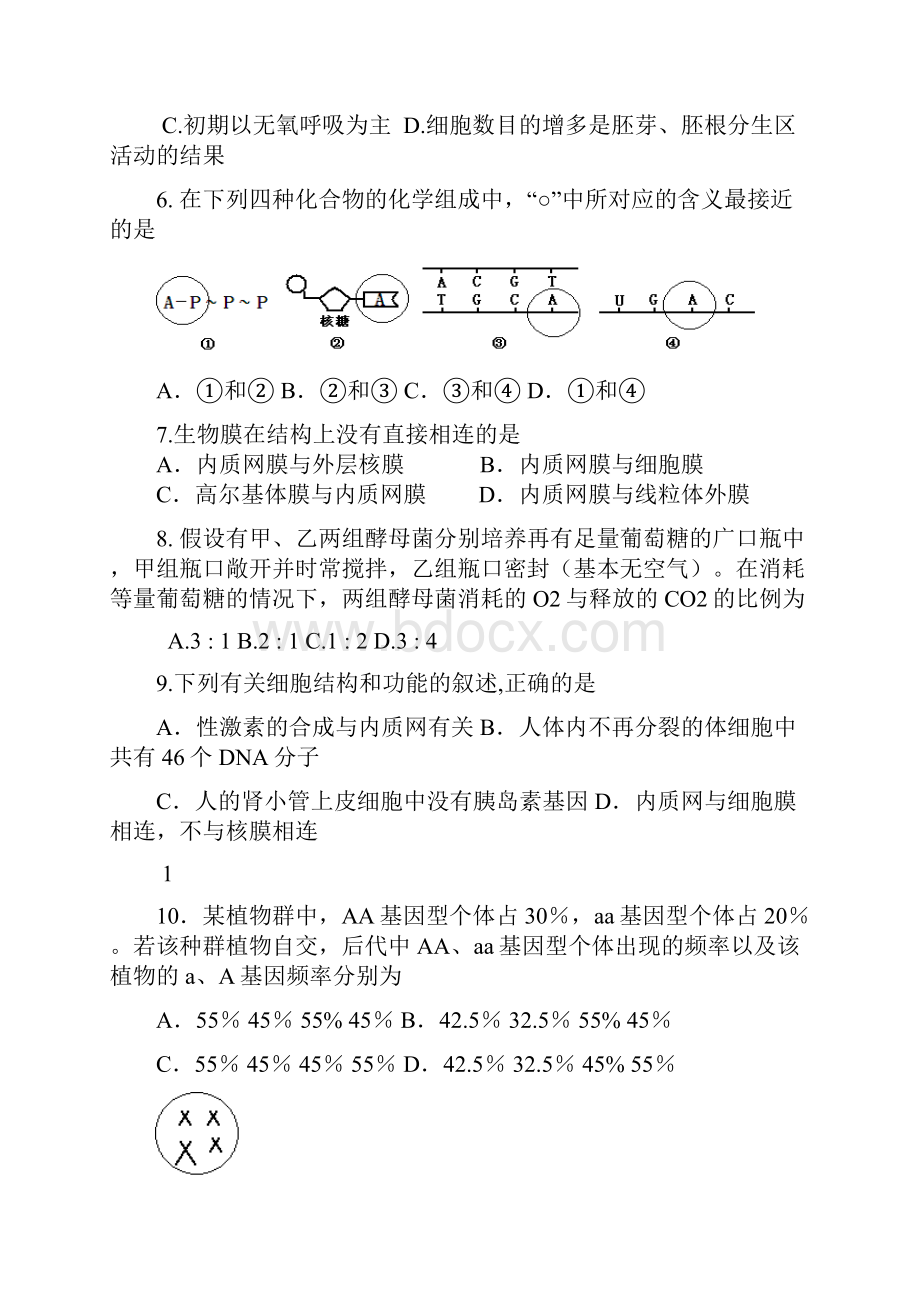 学年度第一学期期中考高三b生物试题b.docx_第2页