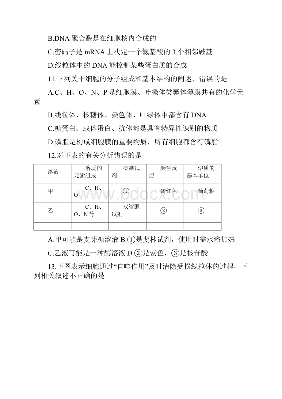 山东省泰安市学年高三上学期期中考试生物试题 Word版含答案.docx_第3页