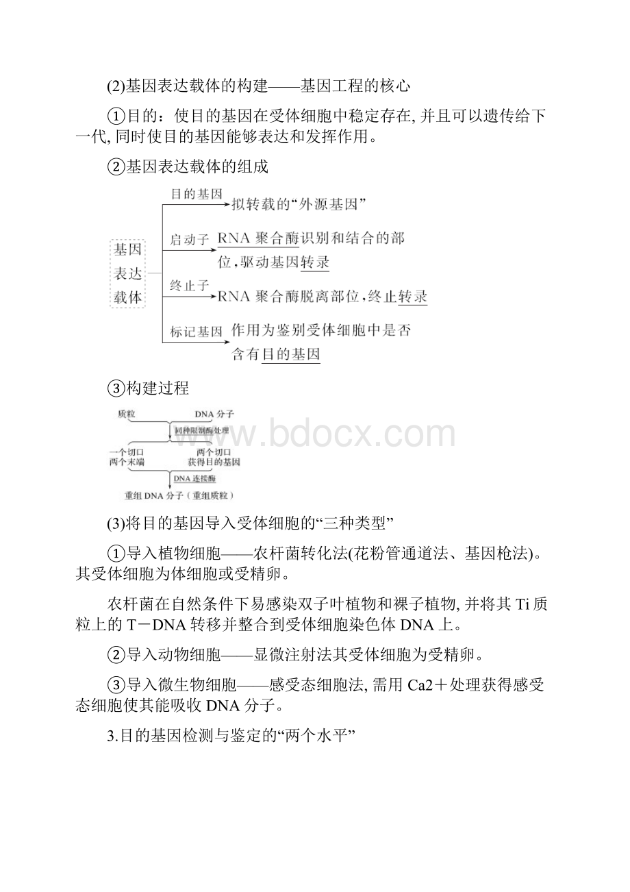 高届高级创新设计高考总复习人教版生物课件学案选修三第31讲.docx_第3页