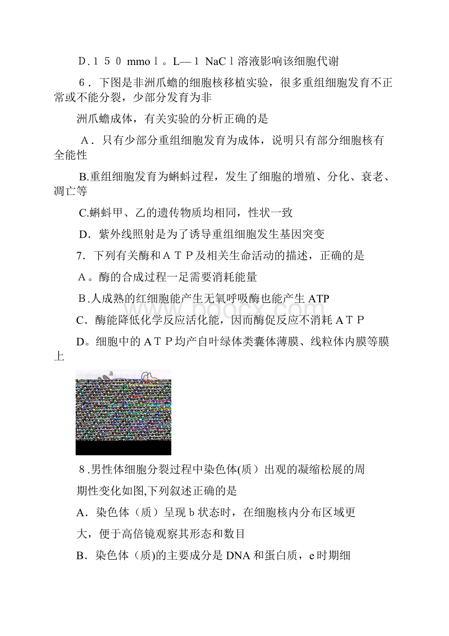 安徽省亳州市最新高三上学期质量检测生物试题.docx_第3页