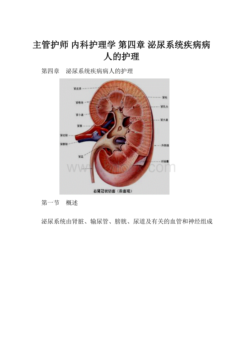 主管护师 内科护理学 第四章 泌尿系统疾病病人的护理.docx