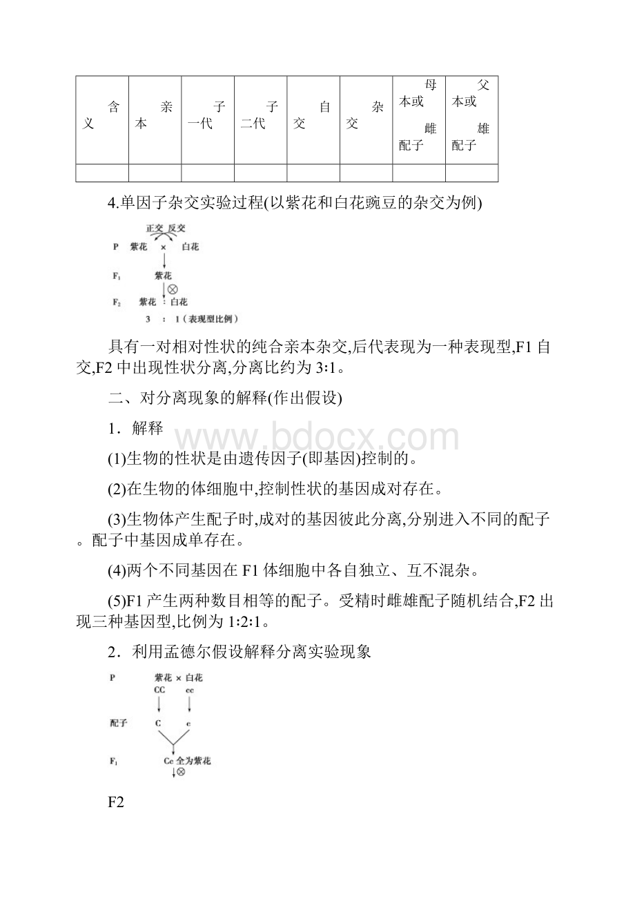 高一生物第一章孟德尔定律第一节分离定律第1课时孟德尔单因子杂交实验过程及对实验结果的解释学案浙科版.docx_第2页