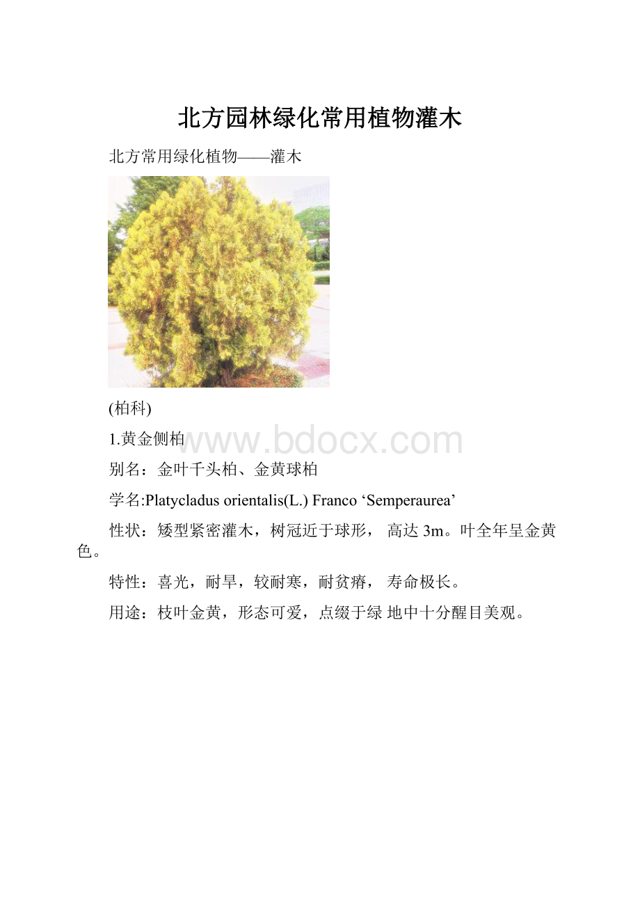 北方园林绿化常用植物灌木.docx_第1页