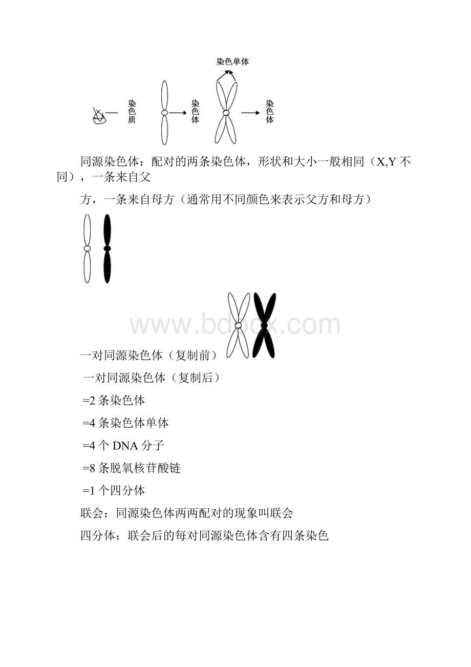 有丝分裂和减数分裂比较.docx_第2页