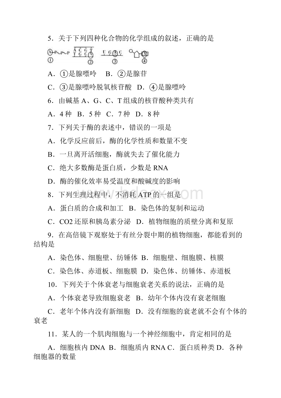 山东省济南市届高三上学期期末考试生物试题Word版含答案.docx_第2页