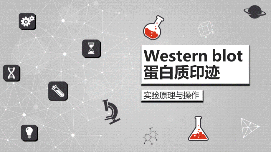 蛋白质印迹技术原理与操作流程Western-blot.pptx