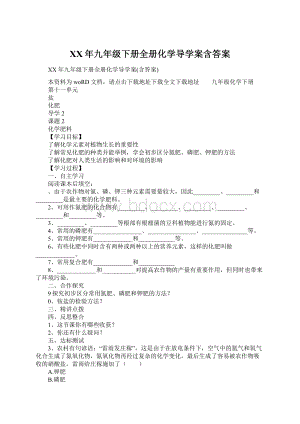 XX年九年级下册全册化学导学案含答案.docx