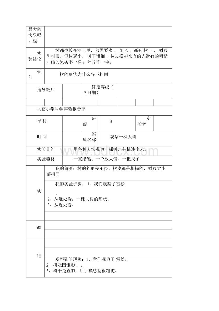 最新教科版三年级上册科学实验报告单1.docx_第3页