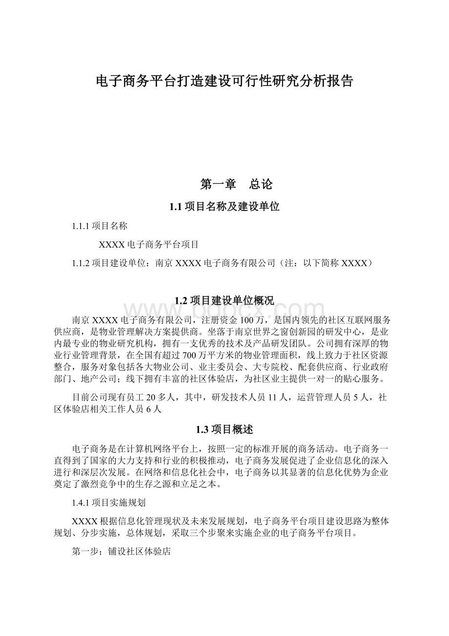 电子商务平台打造建设可行性研究分析报告.docx_第1页