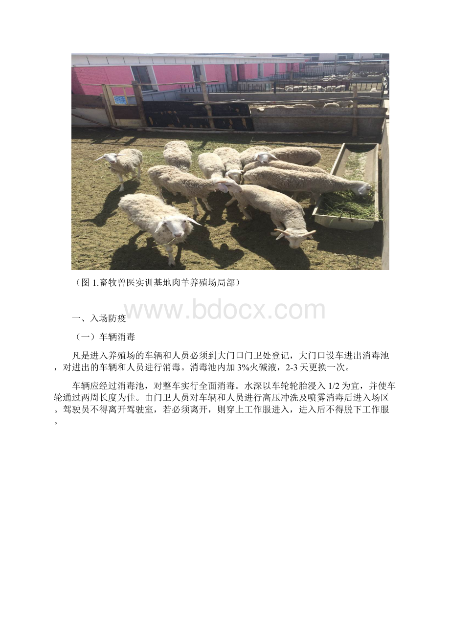 畜牧兽医实训基地肉羊养殖场防疫设计畜牧兽医.docx_第3页