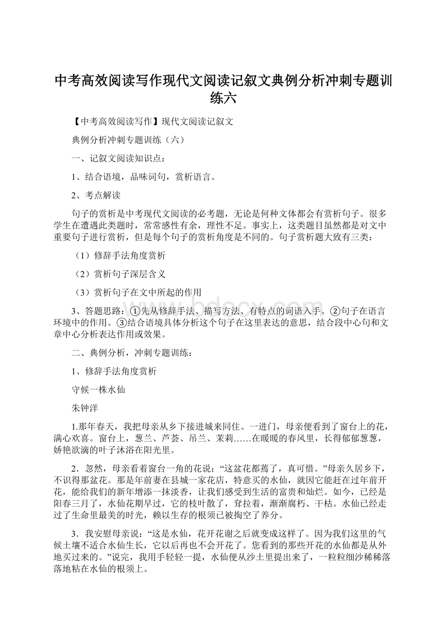 中考高效阅读写作现代文阅读记叙文典例分析冲刺专题训练六.docx