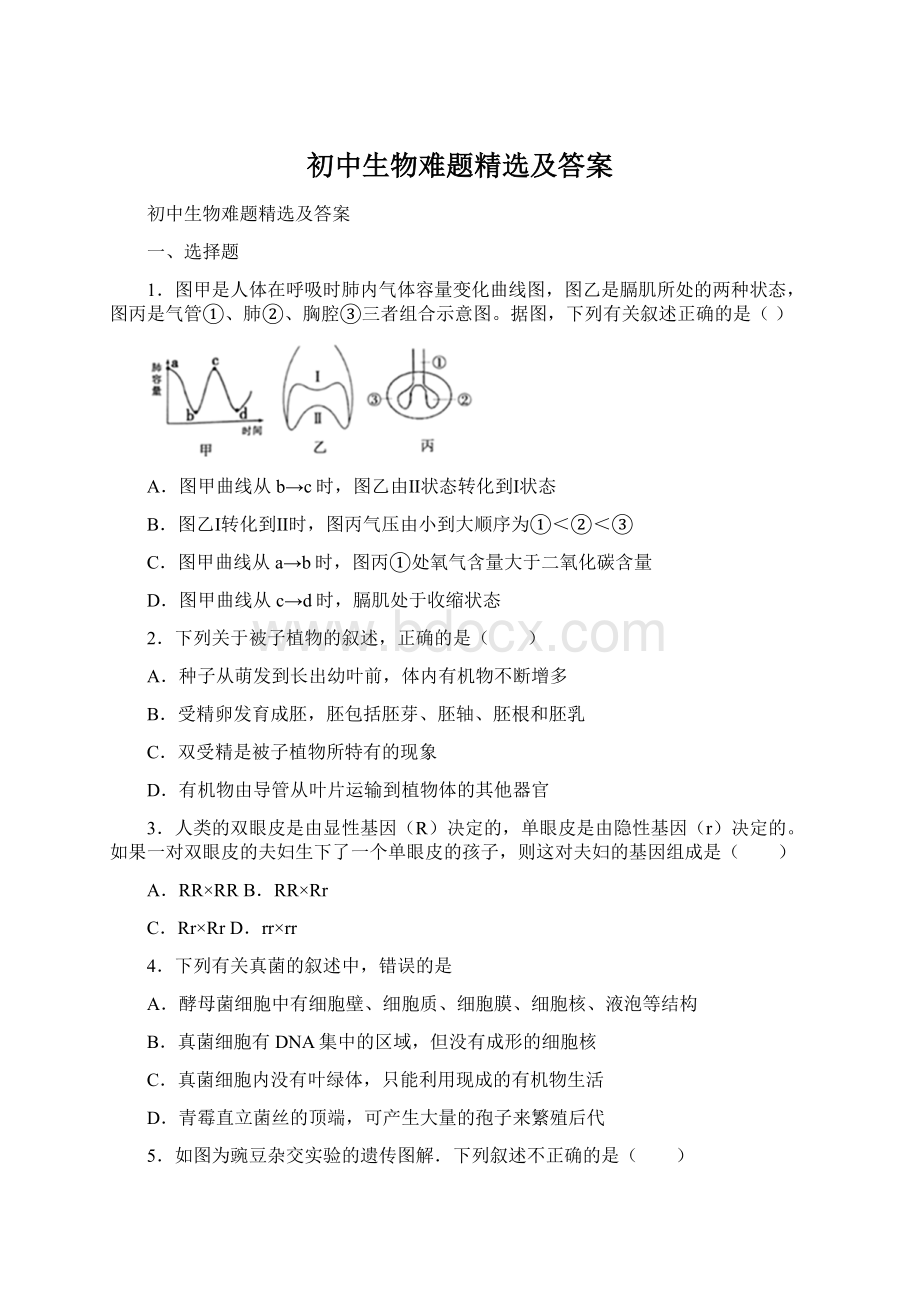 初中生物难题精选及答案.docx