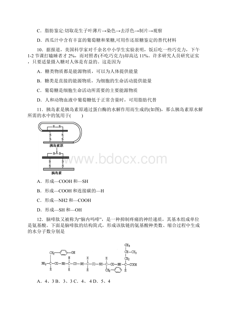 山东省济南市一中学年高一上学期期中生物试题.docx_第3页